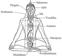 chakranadimeridianicanalienergetici